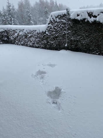 Bild5 Neuschnee 20200204