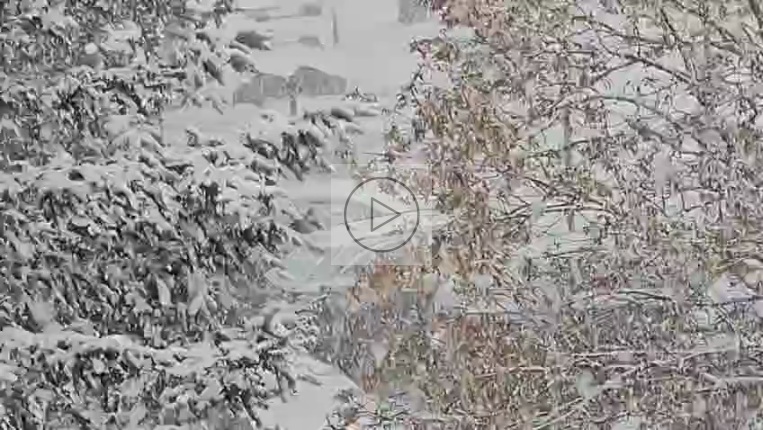 Vorschaubild Video Sparingberg 20251026